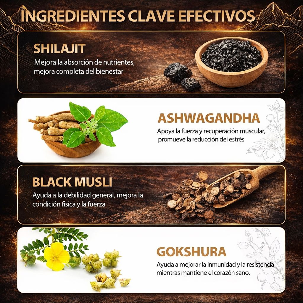 TESTO LÍBIDO BOOST♂ Shilajit™(Sabor Berries)